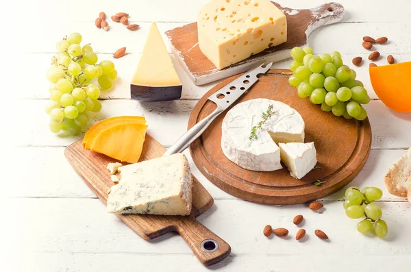 Different types of Cheeses — Stock Photo, Image