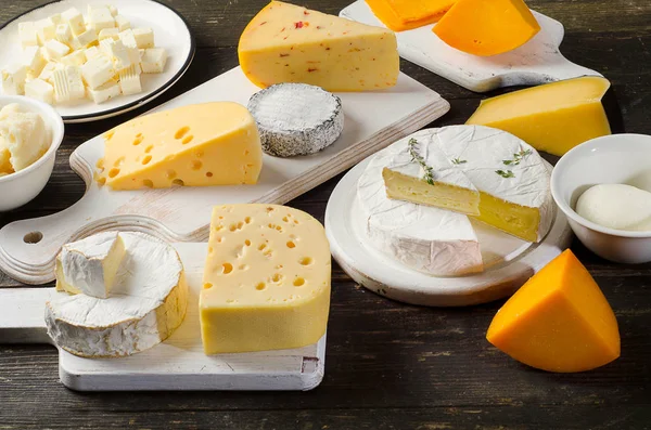 Different kinds of cheeses — Stock Photo, Image