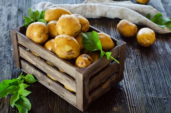Surowe ziemniaki w pole — Zdjęcie stockowe