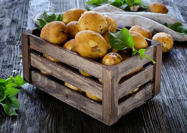 Сира картопля в коробці — стокове фото