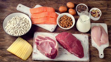 En iyi gıda Protein yüksek