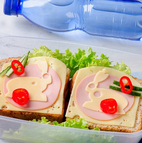 Scatola pranzo con panini — Foto Stock