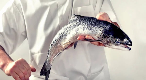 Kocken som håller en lax fisk — Stockfoto