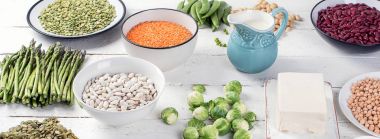 Vegan protein kaynakları koleksiyonu