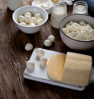 süt ve süt ürünleri toplama