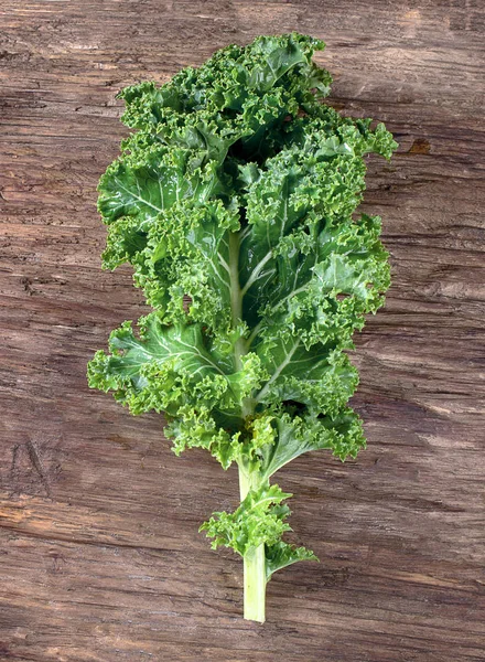 Fresh green kale leaves — Stock Photo, Image