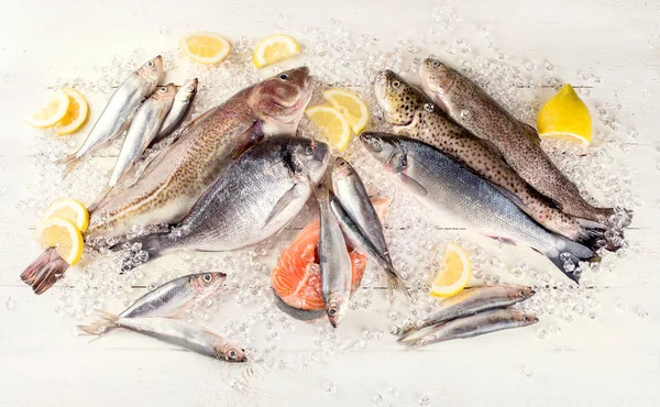Świeże Ryby Owoce Morza Białym Drewnianym Tle Zdrowe Odżywianie Widok — Zdjęcie stockowe