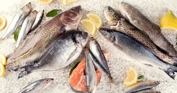 Beyaz ahşap arka planda taze balık ve deniz ürünleri. Sağlıklı beslenme. Üst görünüm 