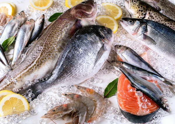 Frischer Fisch Und Meeresfrüchte Auf Weißem Holzgrund Gesunde Ernährung Ansicht — Stockfoto