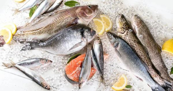 Pescado Fresco Mariscos Sobre Fondo Madera Blanca Alimentación Saludable Vista —  Fotos de Stock