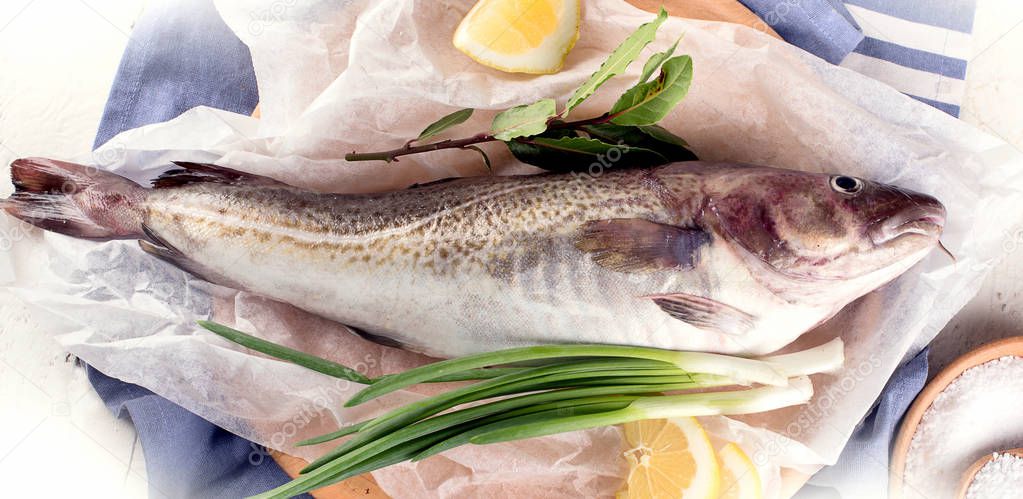 Raw cod fish before cooking. Top view