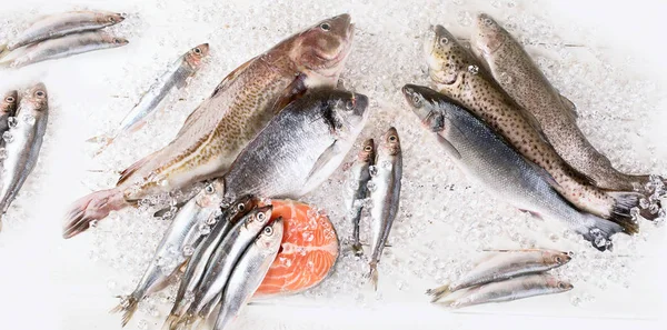Verse Vis Zeevruchten Witte Houten Ondergrond Gezond Eten Bovenaanzicht — Stockfoto