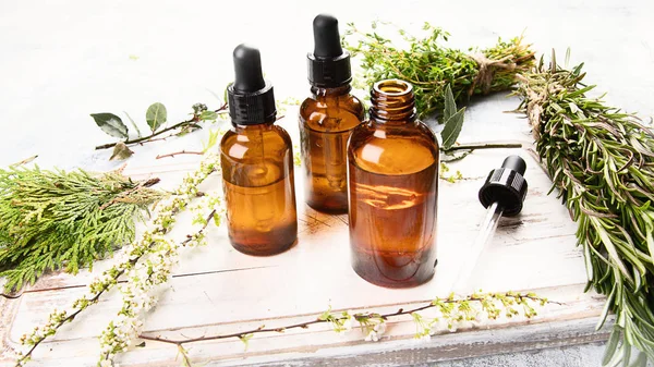 Bottles with organic essential aroma oil for aromatherapy with herbs