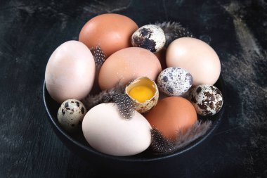 Siyah arka planda farklı tipte taze yumurta. Çiftlik ürünleri.