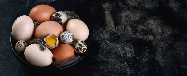 Different Types Fresh Eggs Bowl Black Background Farm Products Panorama — Stock Photo, Image