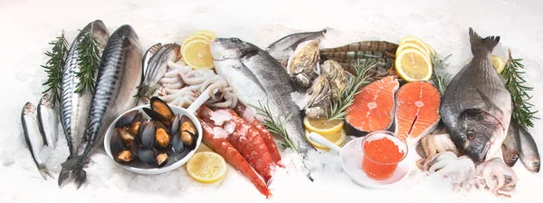 Fresh Raw Seafood Healthy Diet Eating Concept Top View Copy — Stock Photo, Image