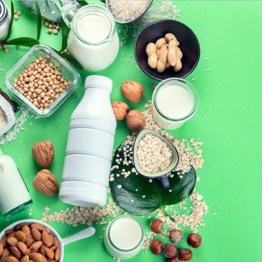 Süt ve malzeme bazlı çeşitli vejetaryen bitkileri. Yeşil renkli arka planda sütsüz içecekler. Sağlıklı vegan ve vejetaryen diyet kavramı. Kopyalama alanı olan üst görünüm