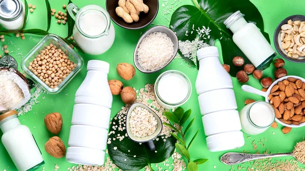 Varias Plantas Veganas Base Leche Ingredientes Bebida Sustituta Leche Sin — Foto de Stock