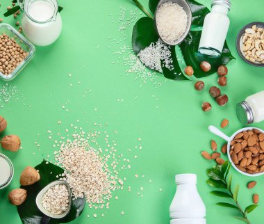 Süt ve malzeme bazlı çeşitli vejetaryen bitkileri. Yeşil renkli arka planda sütsüz içecekler. Sağlıklı vegan ve vejetaryen diyet kavramı. Kopyalama alanı olan üst görünüm
