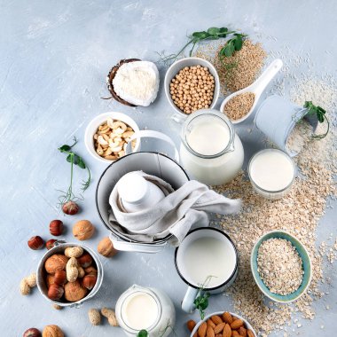Süt ve malzeme bazlı çeşitli vejetaryen bitkileri. Sütsüz süt yerine içecek. Sağlıklı vegan ve vejetaryen diyet kavramı. Kopyalama alanı olan üst görünüm