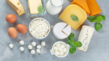 Gri arka planda farklı türde süt ürünleri. Kopyalama alanı olan üst görünüm