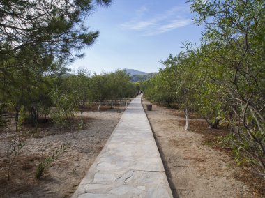 Bahçe beton kaldırım
