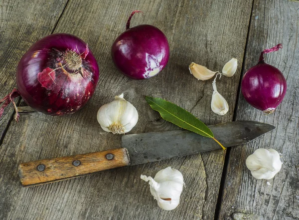 Raw red onion and garlick — Stock Photo, Image
