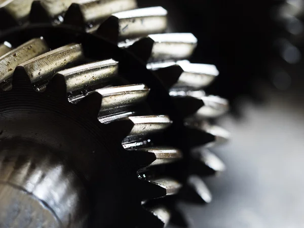 Gear wheels close-up — Stock Photo, Image