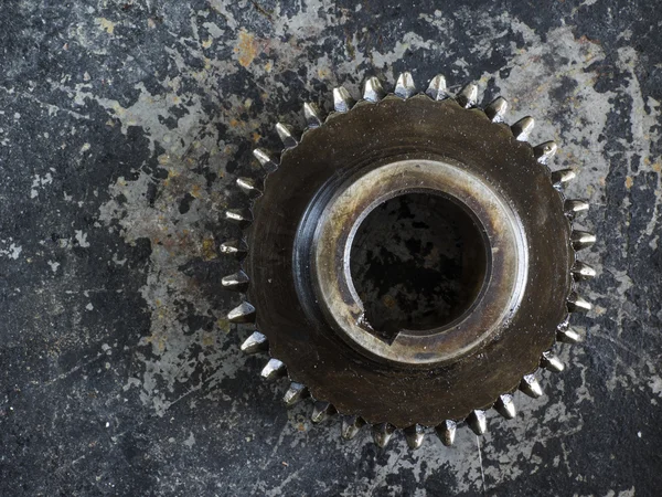 Gear wheels close-up — Stock Photo, Image