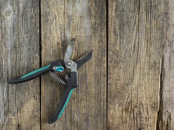 Eski Bahçe secateurs — Stok fotoğraf