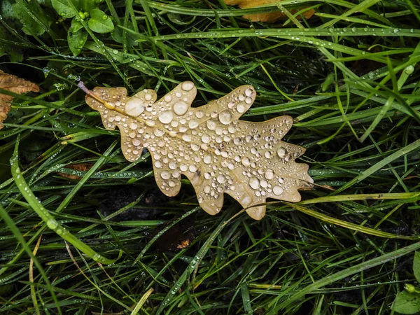 Осенняя погода — стоковое фото