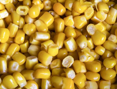 konserve mısır arka plan