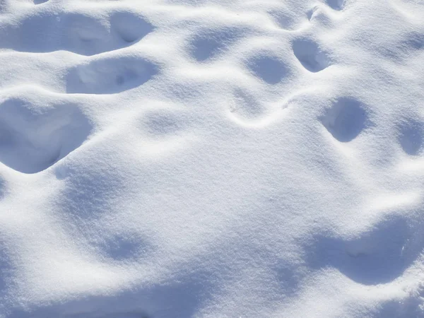 Άποψη της υφή χιόνι — Φωτογραφία Αρχείου