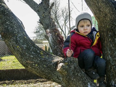 ağaç üzerinde oturan çocuk 