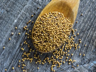 kaşığı hardal tohumu ile