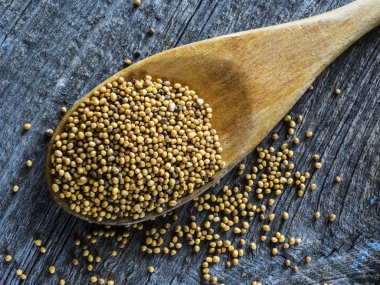 kaşığı hardal tohumu ile