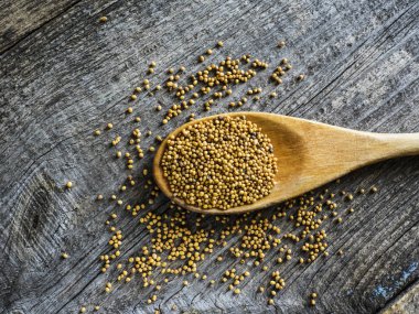 kaşığı hardal tohumu ile