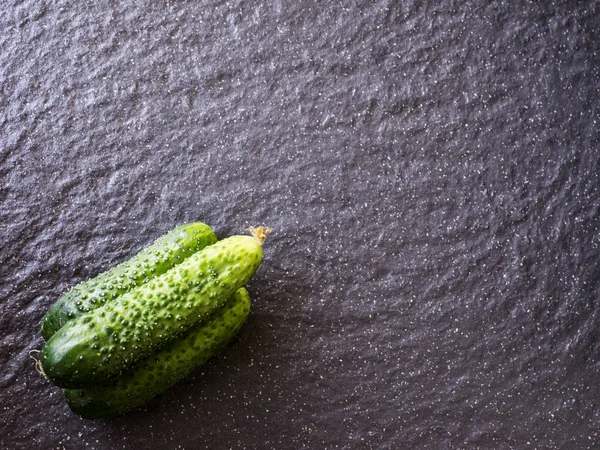 Verse komkommers op leisteen — Stockfoto