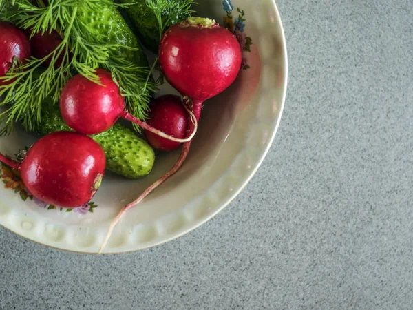 Pepino, rábano y eneldo — Foto de Stock