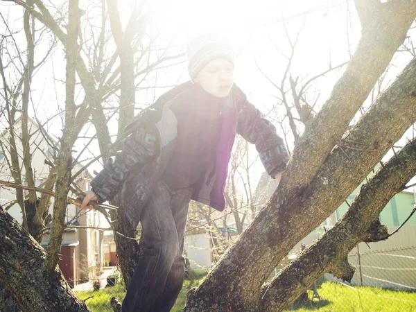 Ragazzo seduto sull'albero — Foto Stock