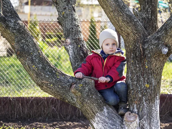 Chłopiec siedzi na drzewie — Zdjęcie stockowe