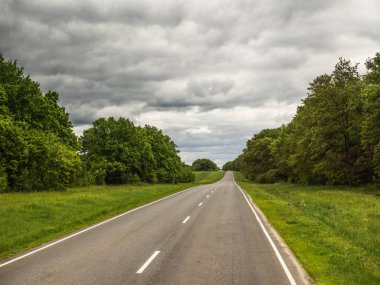 Yolun ortasında ağaç 