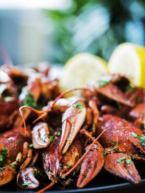 İyi haşlanmış crayfishes