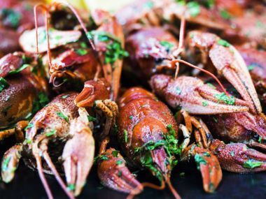 İyi haşlanmış crayfishes