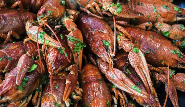 잘 삶은 crayfishes — 스톡 사진