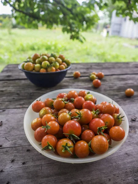 Чаша с помидорами черри — стоковое фото
