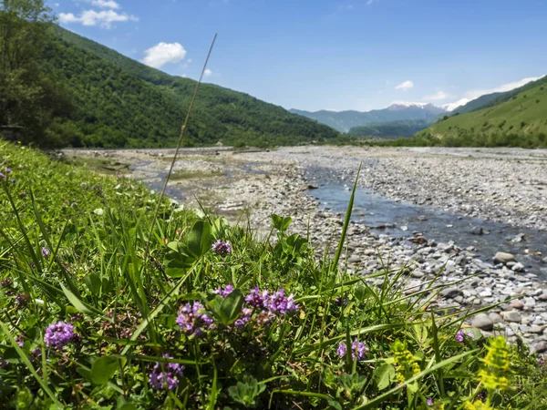 Valle del fiume Aragvi — Foto Stock