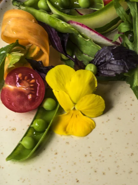 Salada de ervas suculentas — Fotografia de Stock