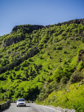 Gürcistan askeri yol