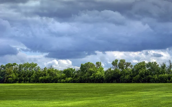 Campo verde y cielo — Foto de Stock